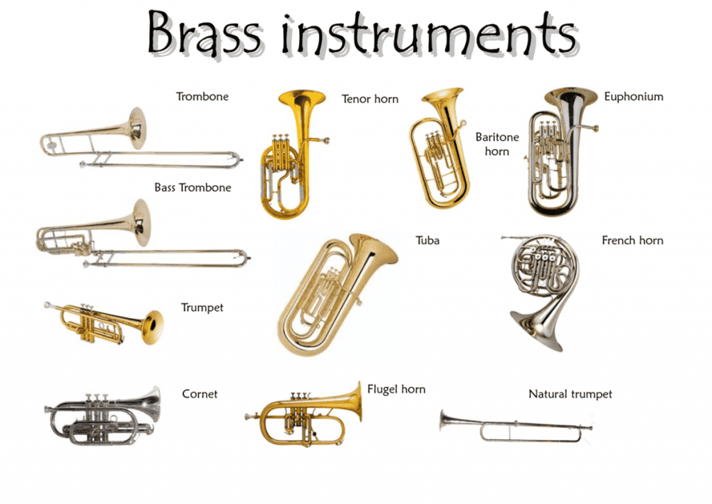 types of instruments