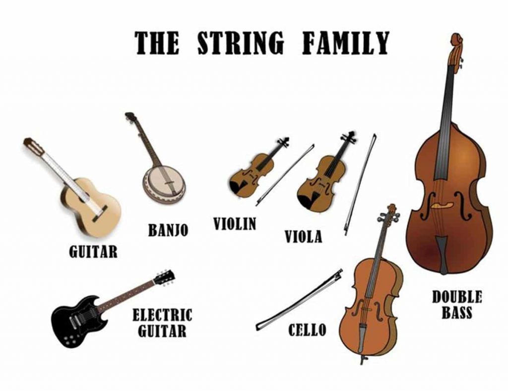 types of instruments